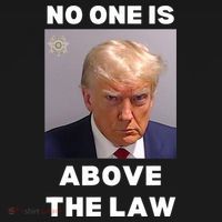 Donald Trump Mug Shot No One Is Above The Law Anti Trump Women's Tank Top thumb 5