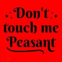 Don't Touch Me Peasant Funny Santa Hat thumb 1