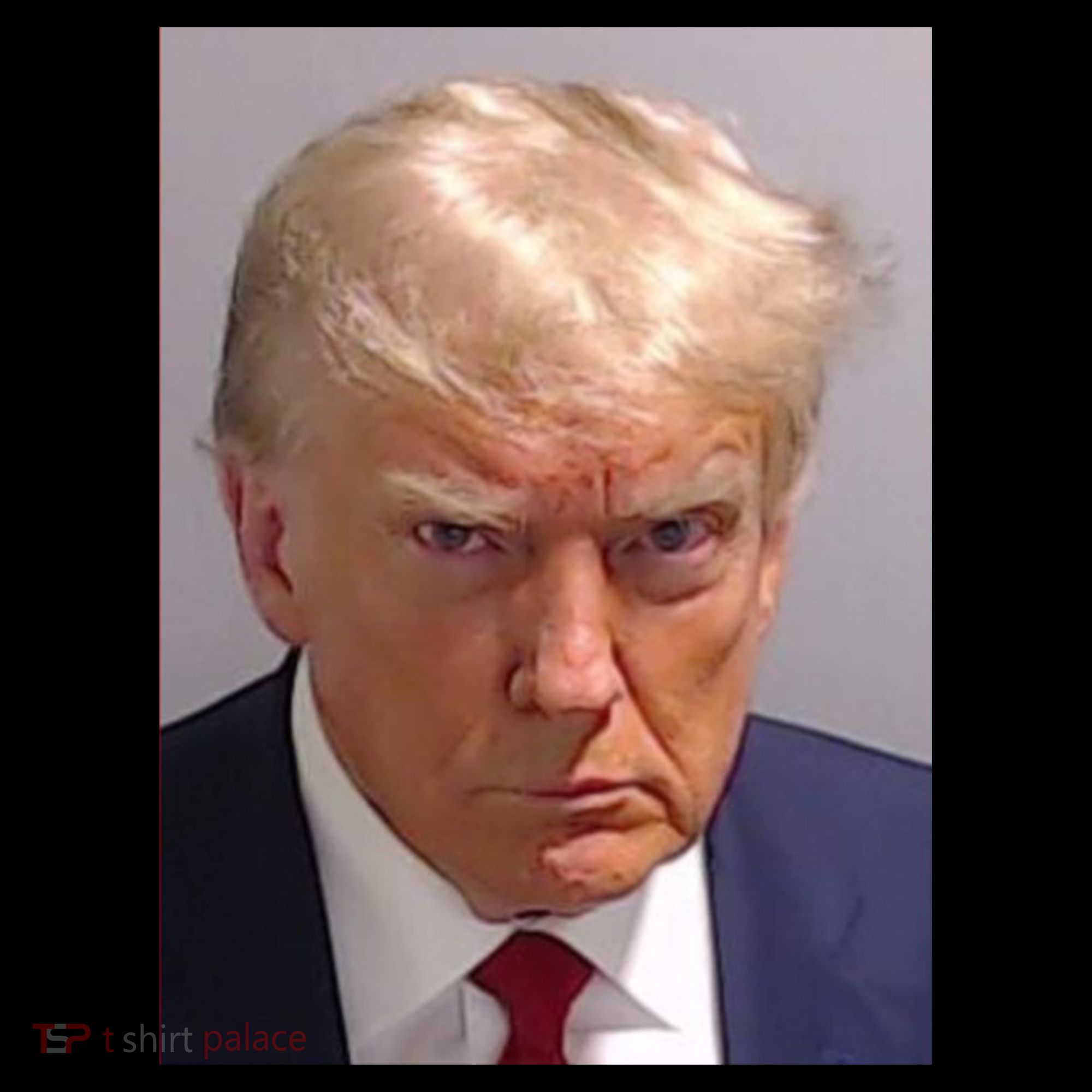 Donald Trump Mugshot Ornament