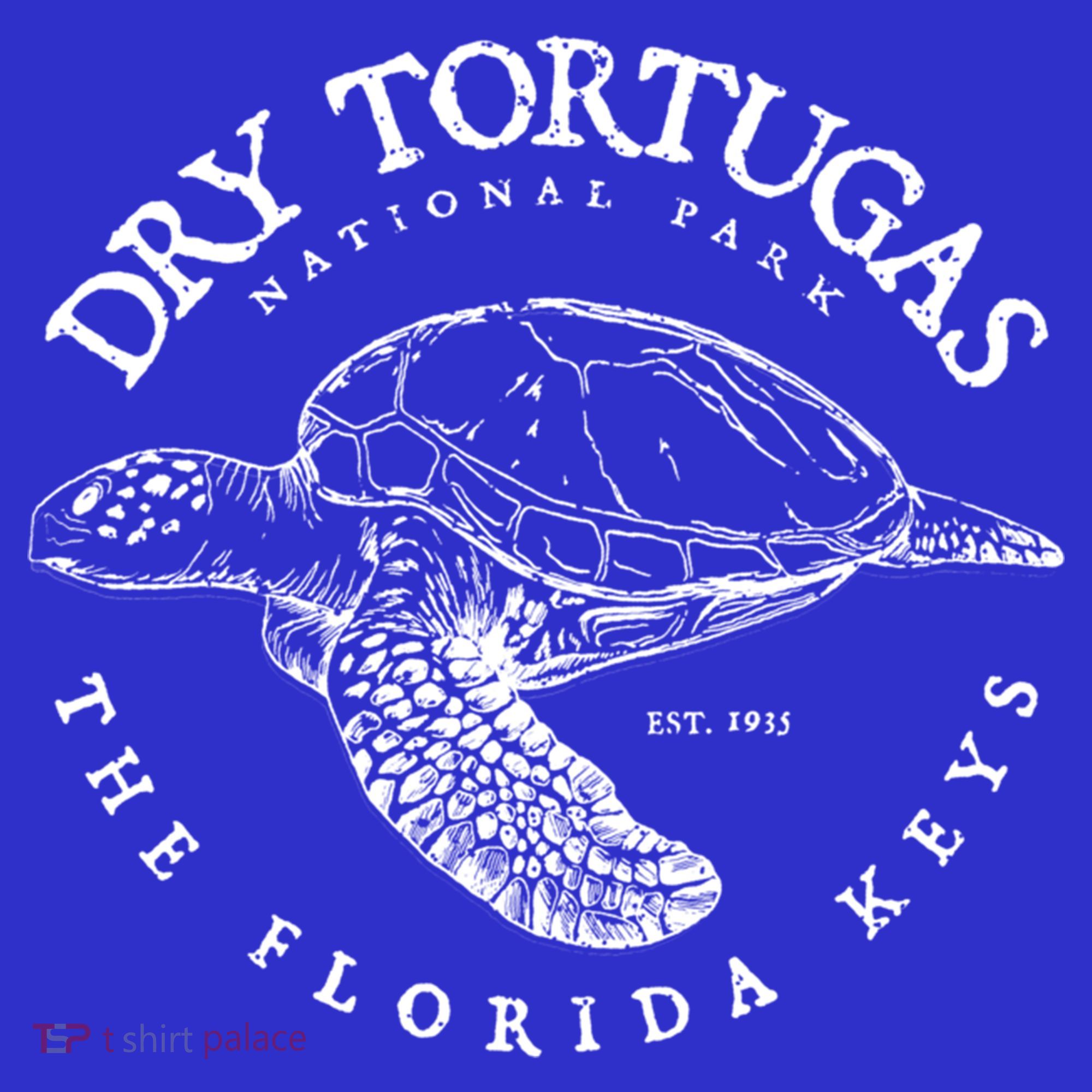 Dry Tortugas National Park Florida Keys Scuba Diving Turtle Gift Kids Hoodie