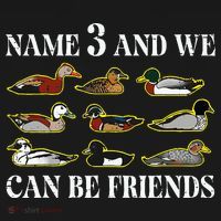 Duck Types Name 3 We Can Be Friends T-Shirt thumb 7