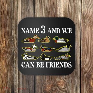Duck Types Name 3 We Can Be Friends Coaster