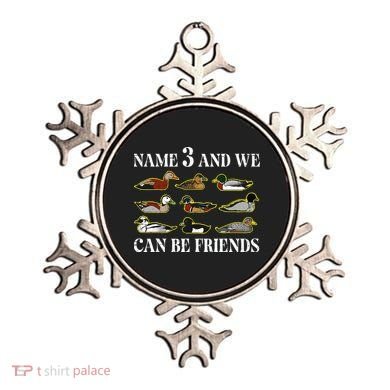 Duck Types Name 3 We Can Be Friends Ornament