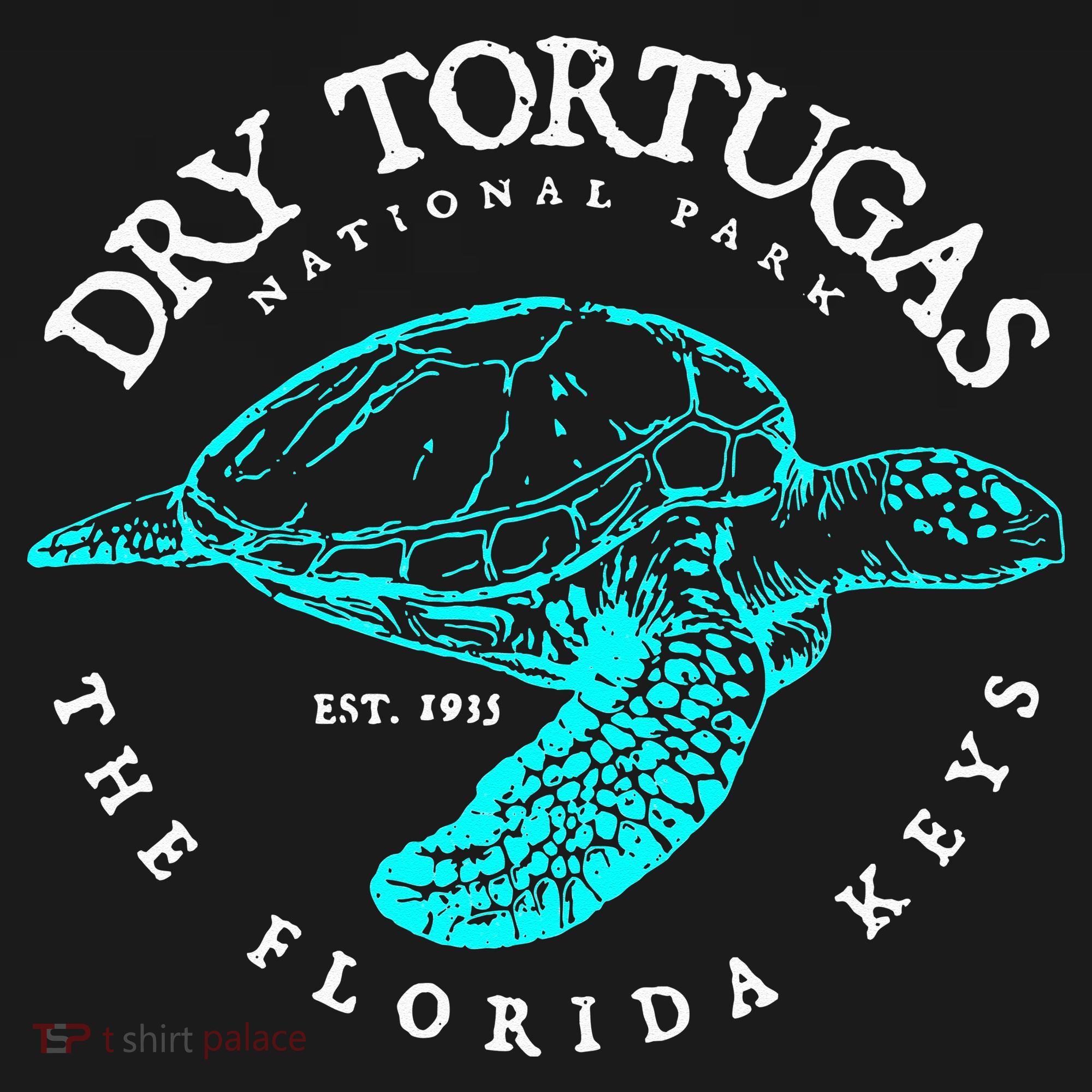 Dry Tortugas National Park Florida Keys Scuba Diving Turtle Coaster