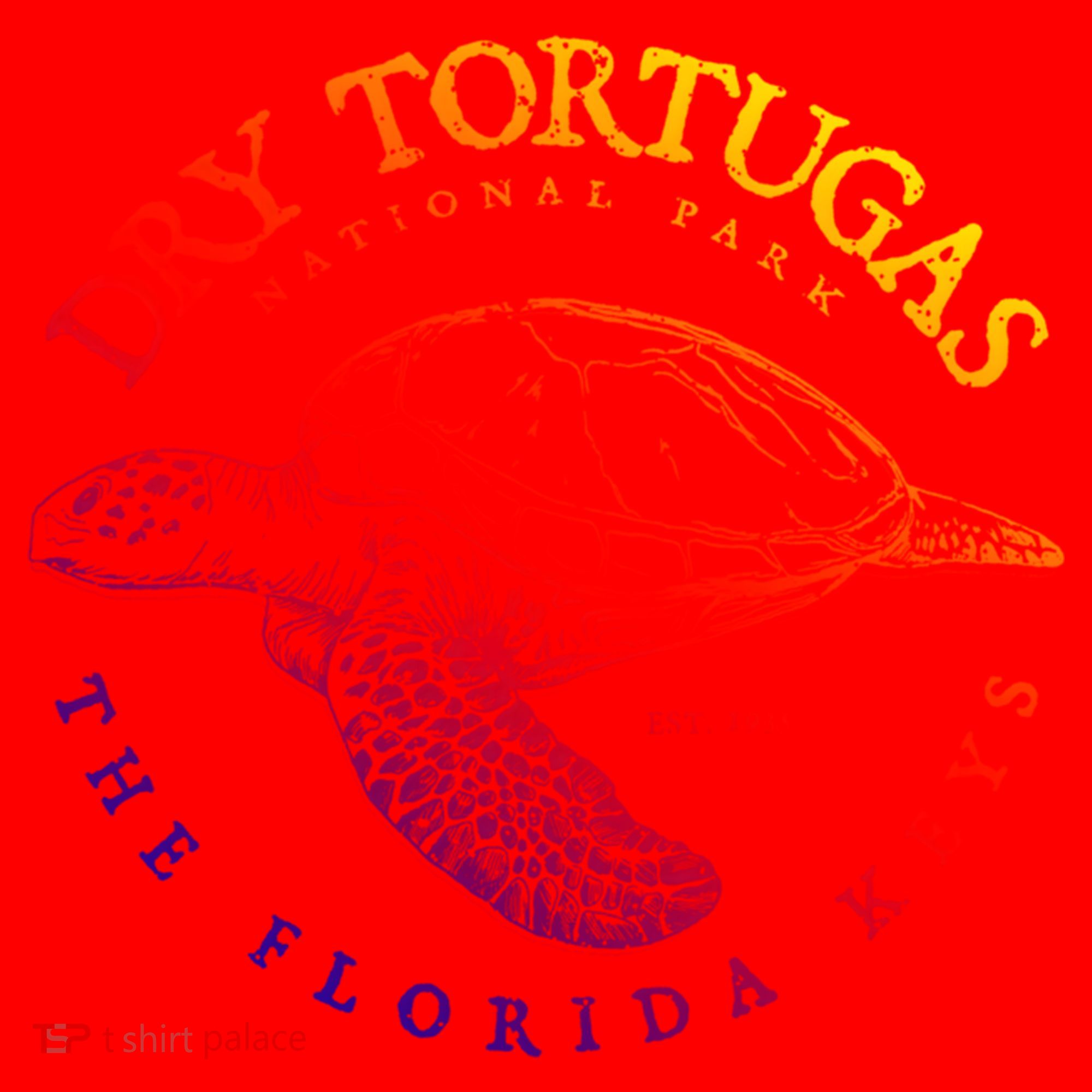 Dry Tortugas National Park Florida Keys Scuba Diving Turtle Cute Gift Santa Hat