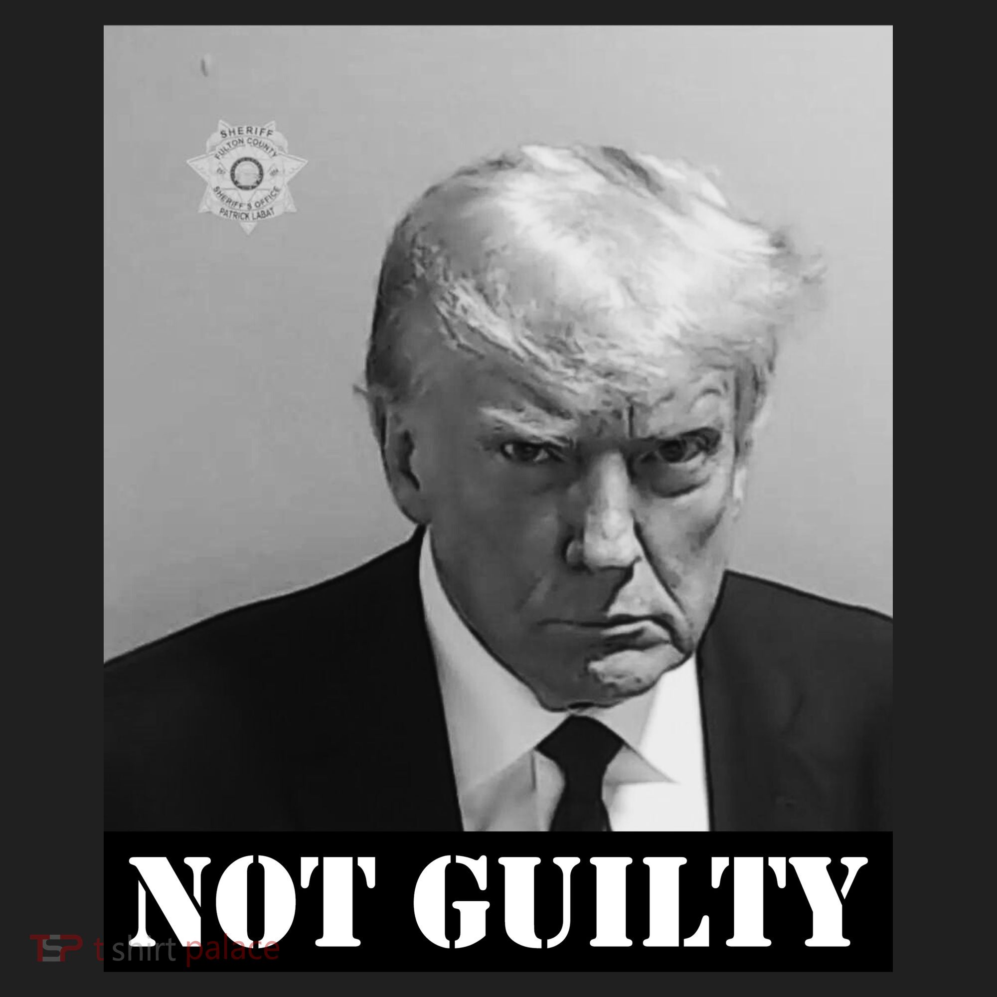 Donald Trump Not Guilty Mugshot Hat