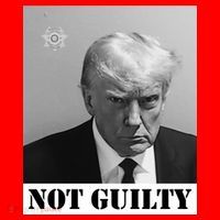 Donald Trump Not Guilty Mugshot Santa Hat thumb 1