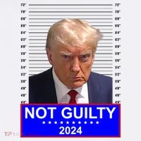 Donald Trump Not Guilty 2024 Mugshot Politcal T-Shirt thumb 7