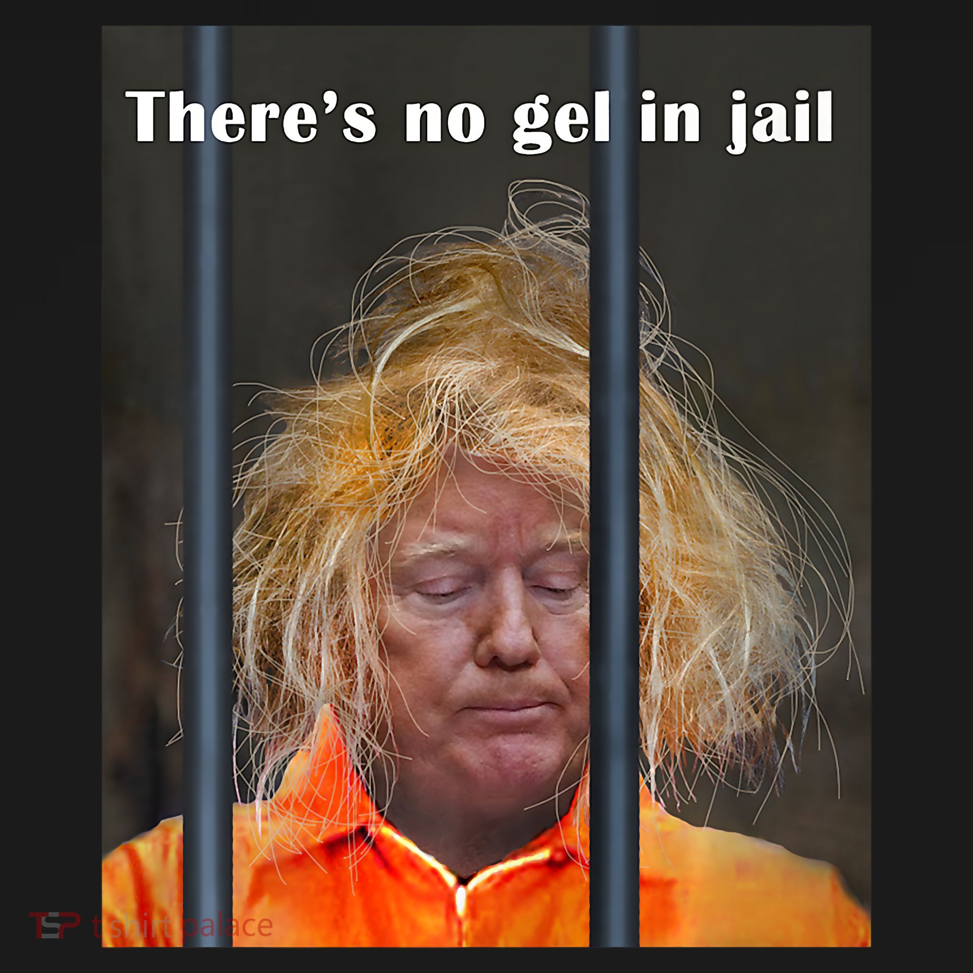 Donald Trump No Gel In Jail Women's Hoodie