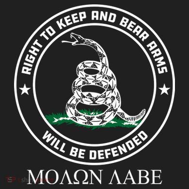 Dont Tread On Me Right To Keep & Bear Arms Come & Take It Adult Drive Performance Visor