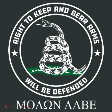 Dont Tread On Me Right To Keep & Bear Arms Come & Take It Infant Baby Jersey Bodysuit