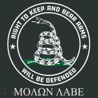 Dont Tread On Me Right To Keep & Bear Arms Come & Take It Infant Baby Jersey Bodysuit thumb 2