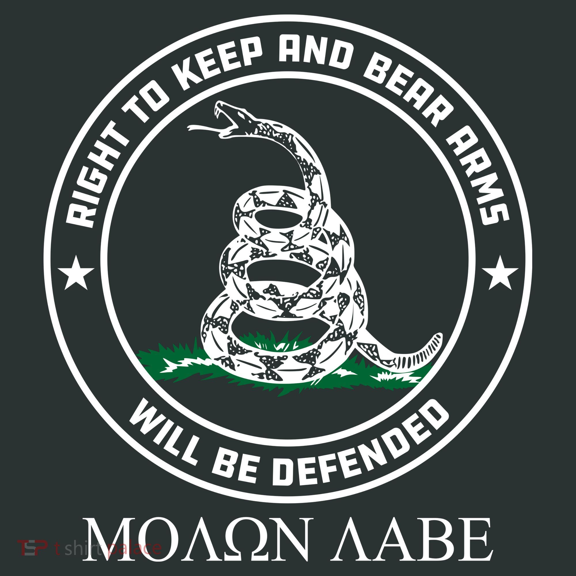Dont Tread On Me Right To Keep & Bear Arms Come & Take It Infant Baby Jersey Bodysuit