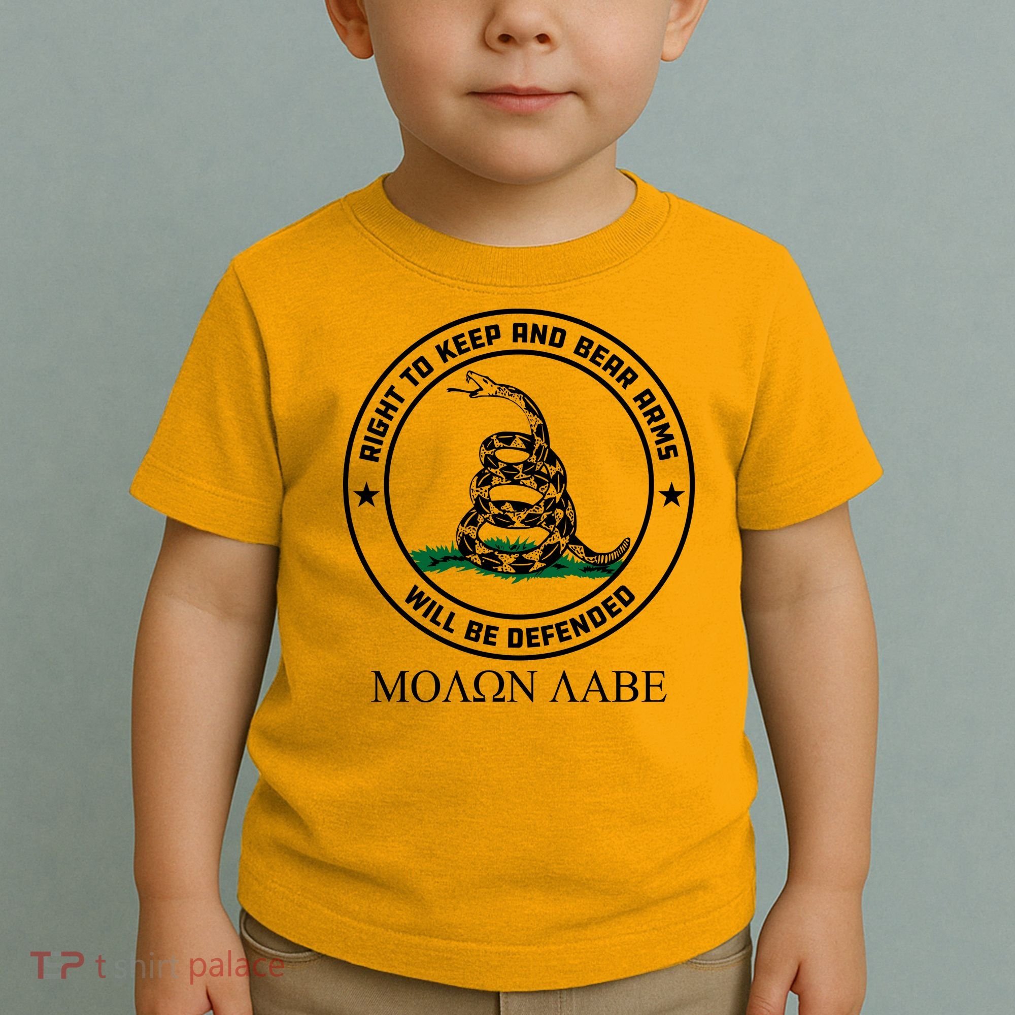Dont Tread On Me Right To Keep & Bear Arms Come & Take It Toddler T-Shirt