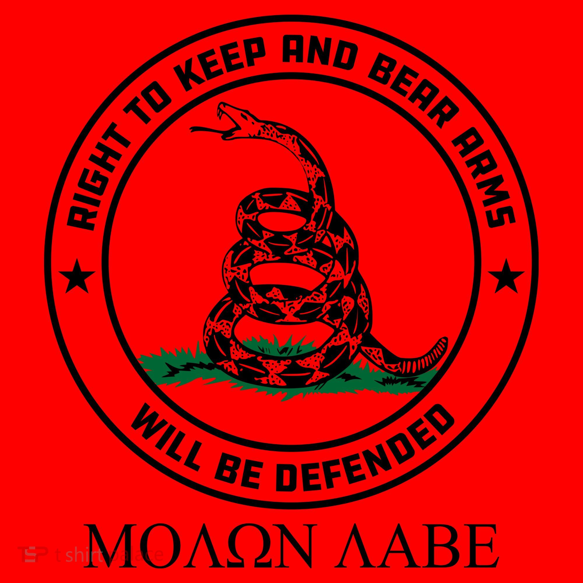 Dont Tread On Me Right To Keep & Bear Arms Come & Take It Santa Hat