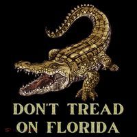Don't Tread On Florida Sweatshirt thumb 3