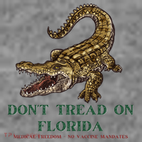 Don't Tread On Florida Toddler Hoodie thumb 2