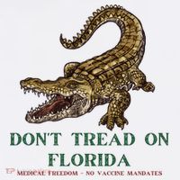 Don't Tread On Florida Button thumb 1