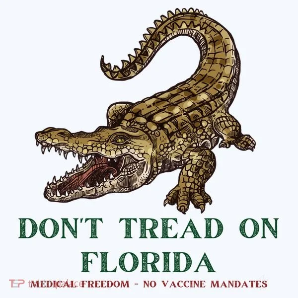 Don't Tread On Florida Kids Hoodie