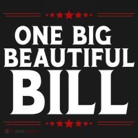 Donald Trump One Big Beautiful Bill Toddler Hoodie thumb 2