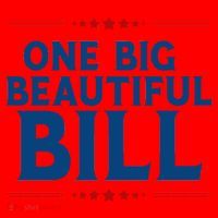 Donald Trump One Big Beautiful Bill Santa Hat thumb 1