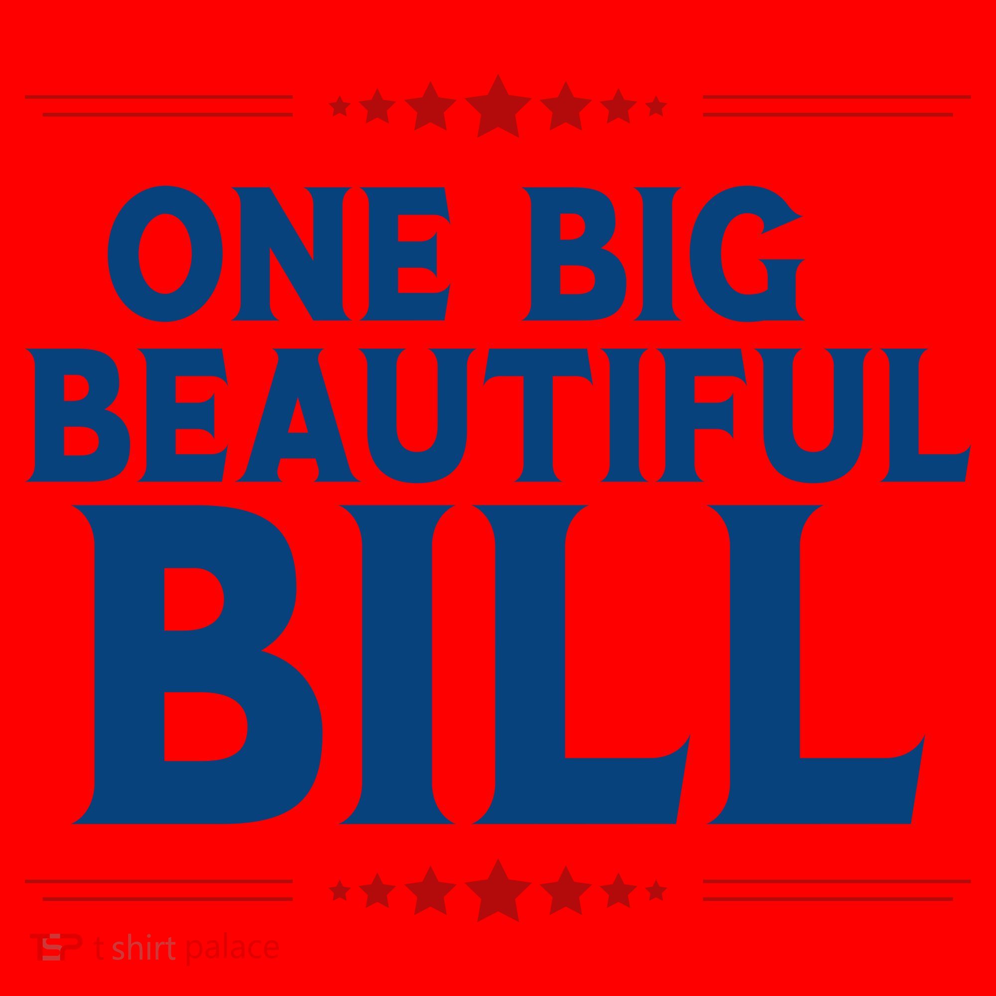 Donald Trump One Big Beautiful Bill Santa Hat