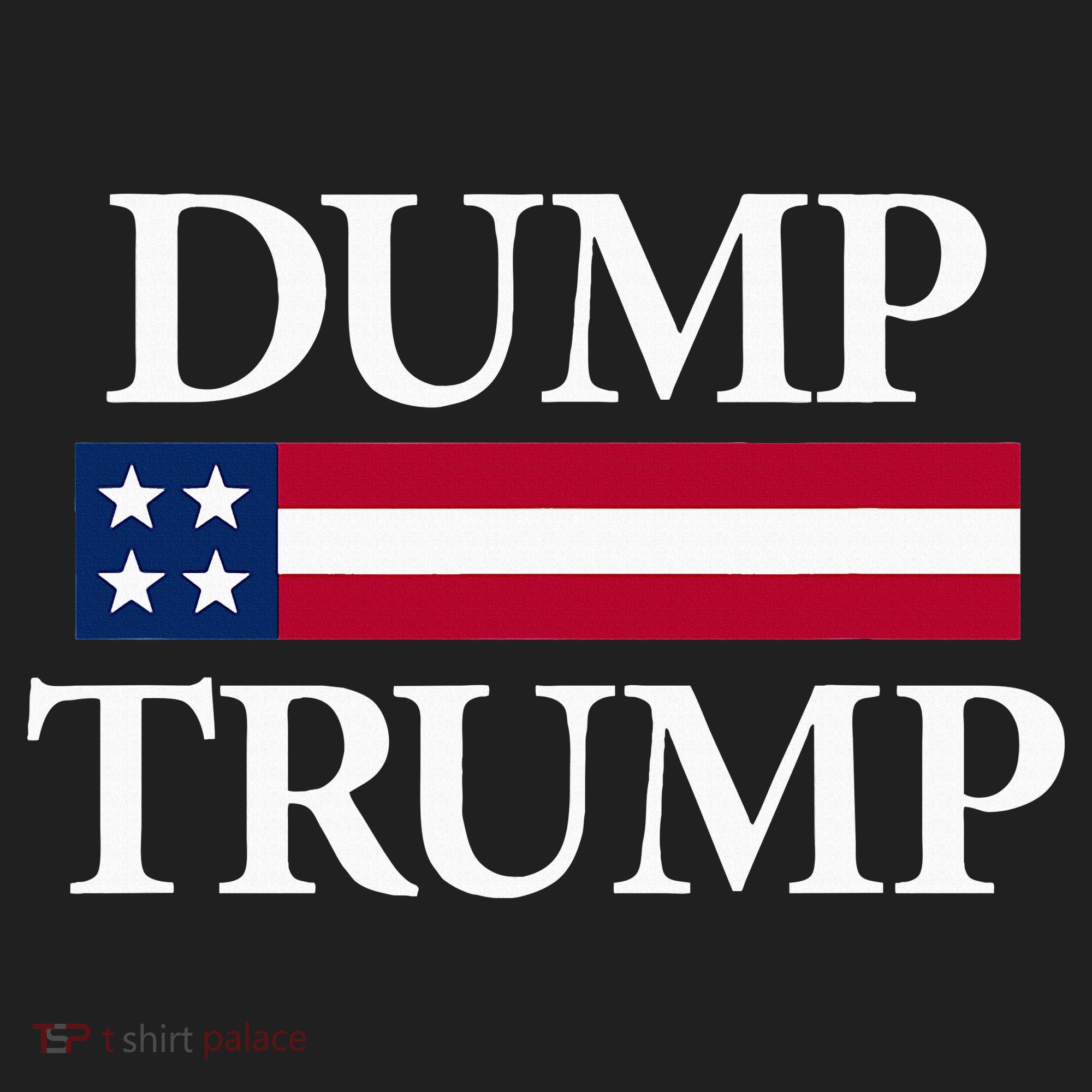 Dump Trump Political Hat