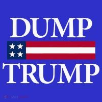 Dump Trump Political Toddler Hoodie thumb 2