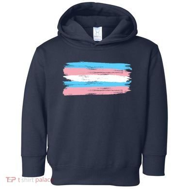 Distressed Transgender Pride Flag Toddler Hoodie