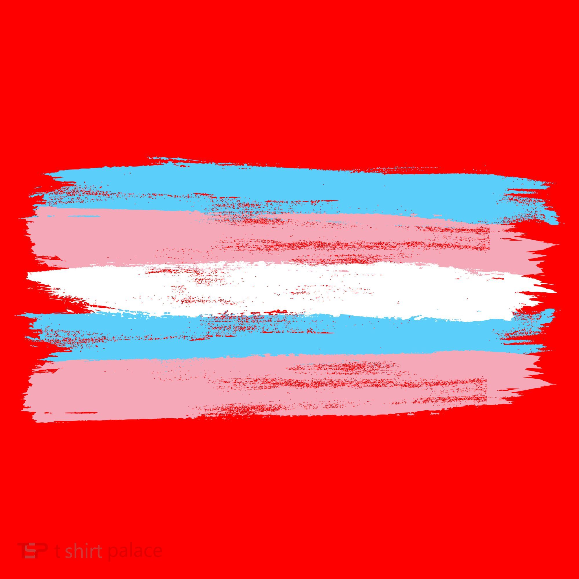 Distressed Transgender Pride Flag Santa Hat