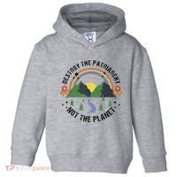 Destroy The Patriarchy Not The Planet Smash Patriarchy Toddler Hoodie thumb 0
