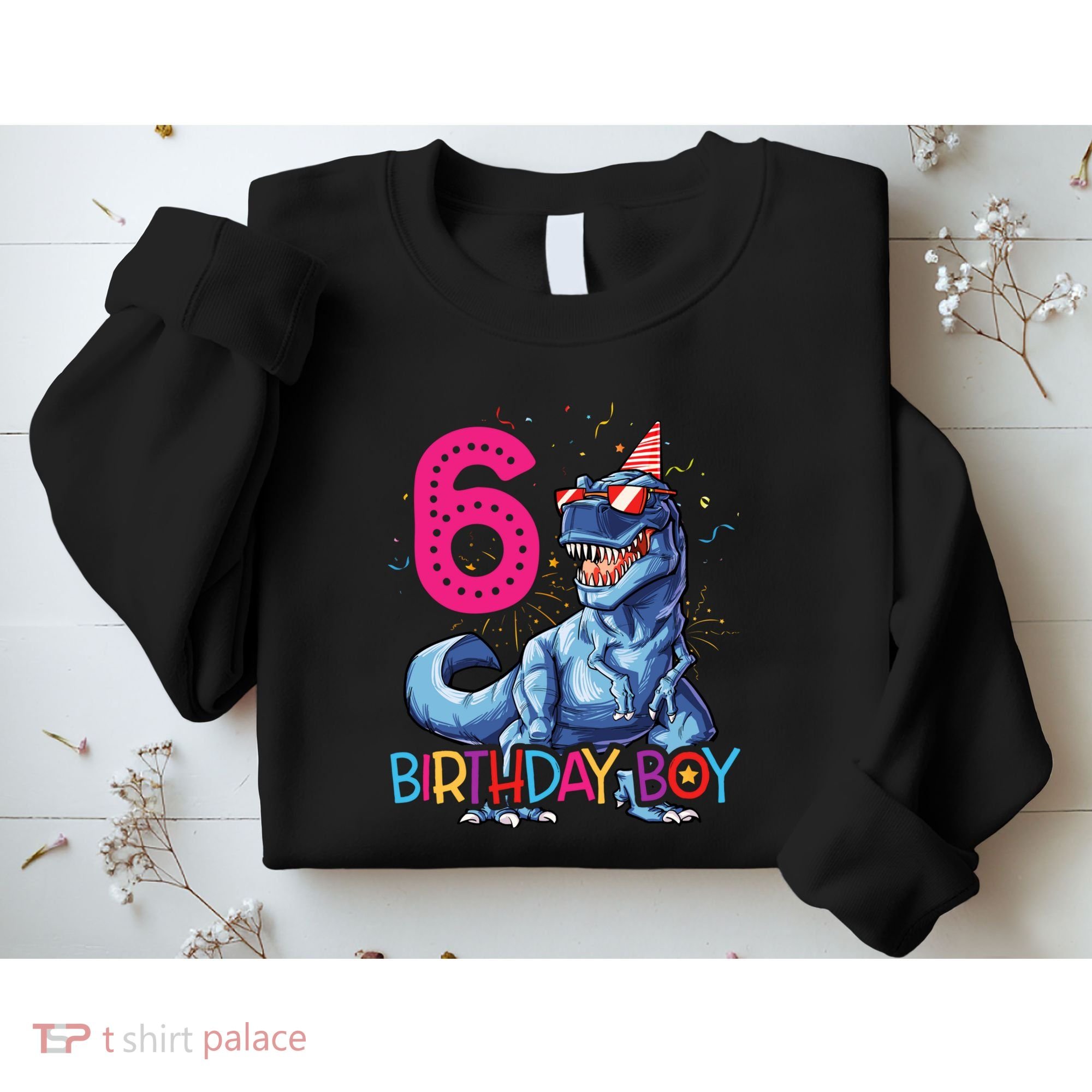 Dinosaur T Rex 6 Year Old Boy Funny 6th Birthday Gifts Sweatshirt