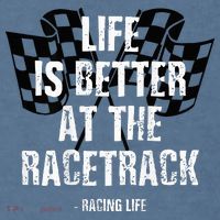 Dirt Track Racing Gear Checker Flag Racing Race Flag Comfort Colors Garment-Dyed Hooded Sweatshirt thumb 2