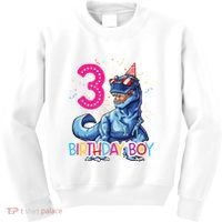 Dinosaur T Rex 3 Year Old 3rd Birthday Kids Sweatshirt thumb 0