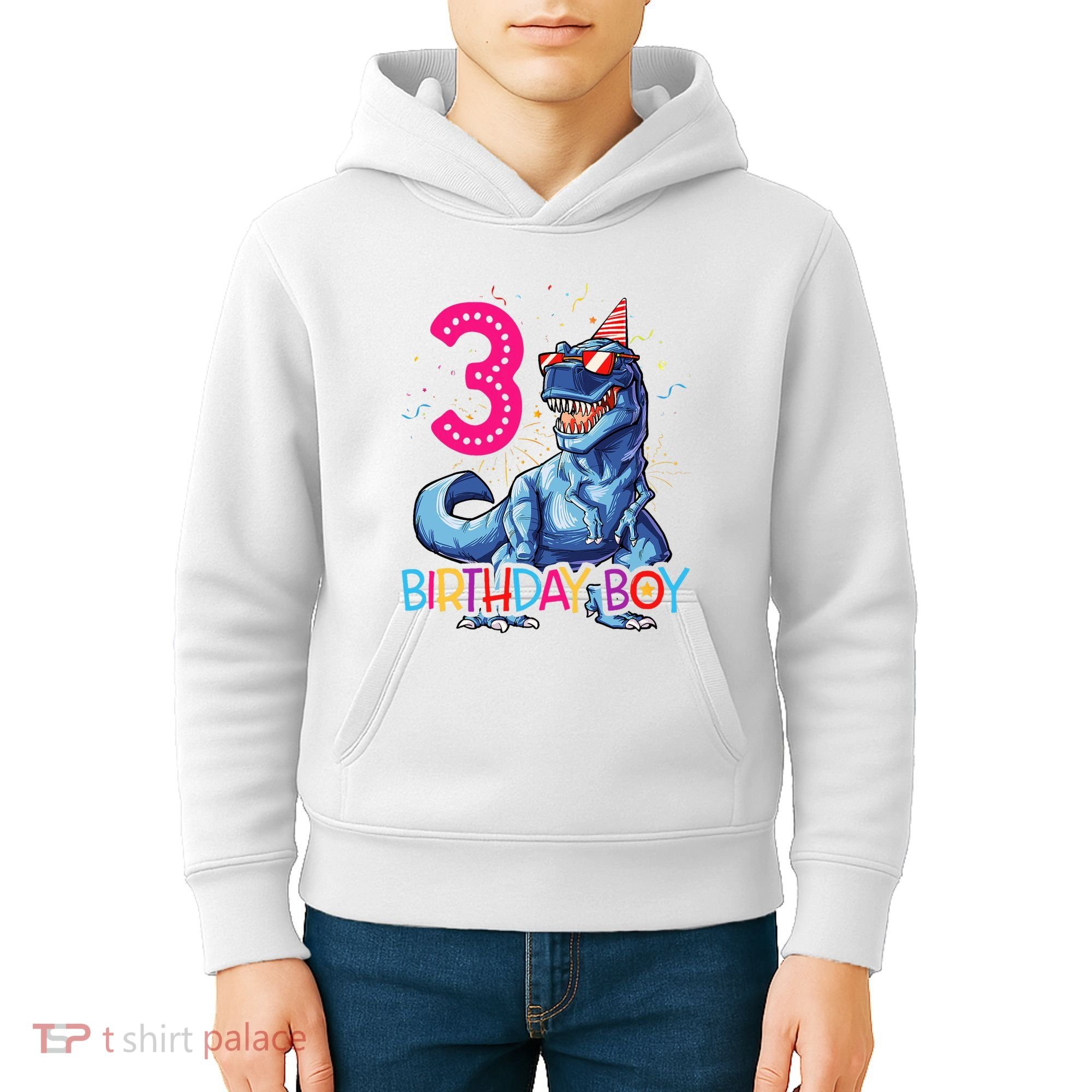 Dinosaur T Rex 3 Year Old 3rd Birthday Kids Hoodie