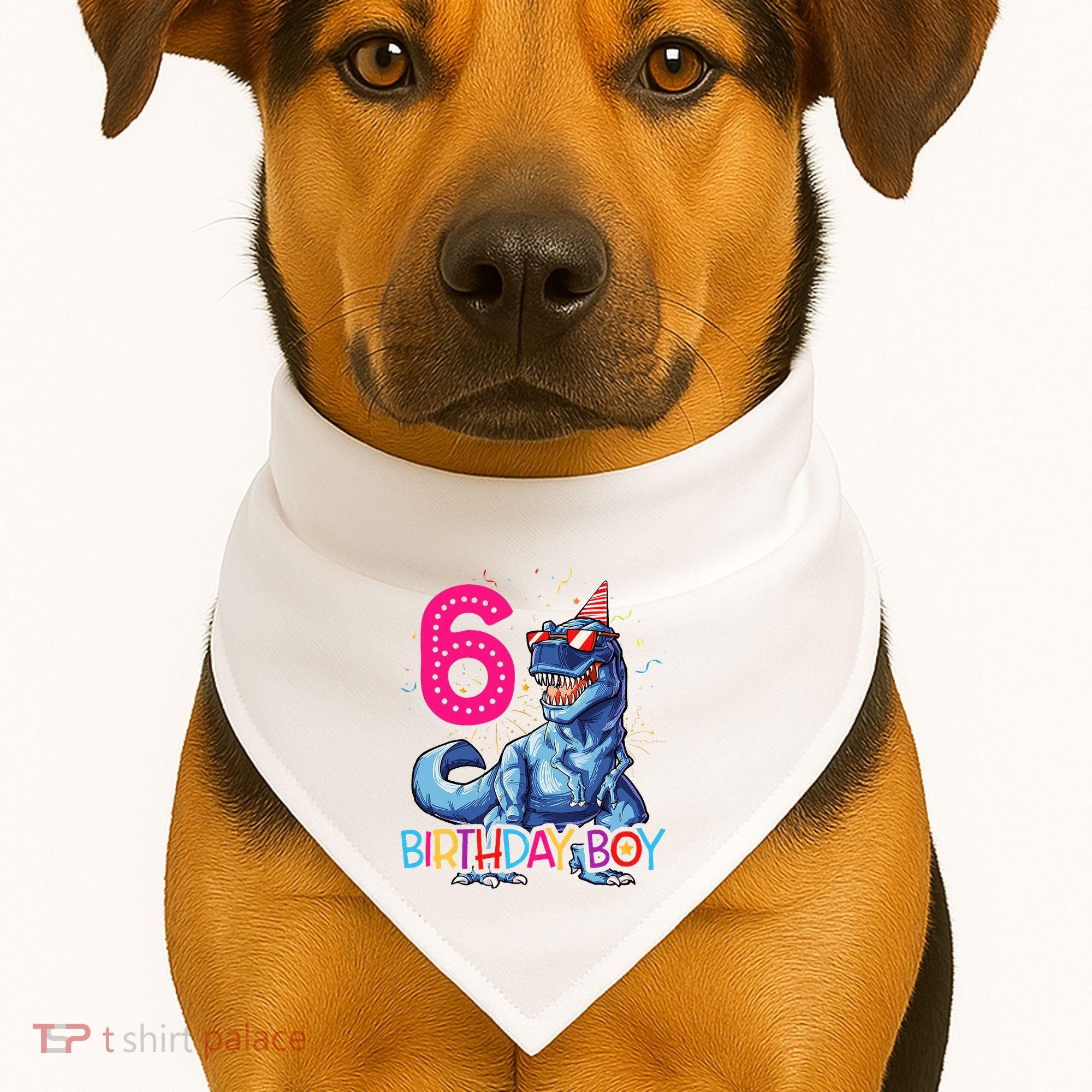 Dinosaur T Rex 6 Year Old 6th Birthday USA-Made Doggie Bandana
