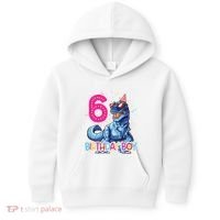 Dinosaur T Rex 6 Year Old 6th Birthday Kids Hoodie thumb 0