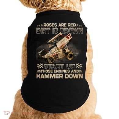 Dirt Track Racing Champion Sprint Car Doggie Tank