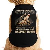 Dirt Track Racing Champion Sprint Car Doggie Tank thumb 0