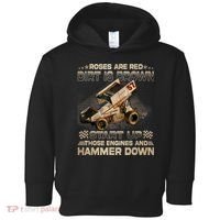 Dirt Track Racing Champion Sprint Car Toddler Hoodie thumb 0