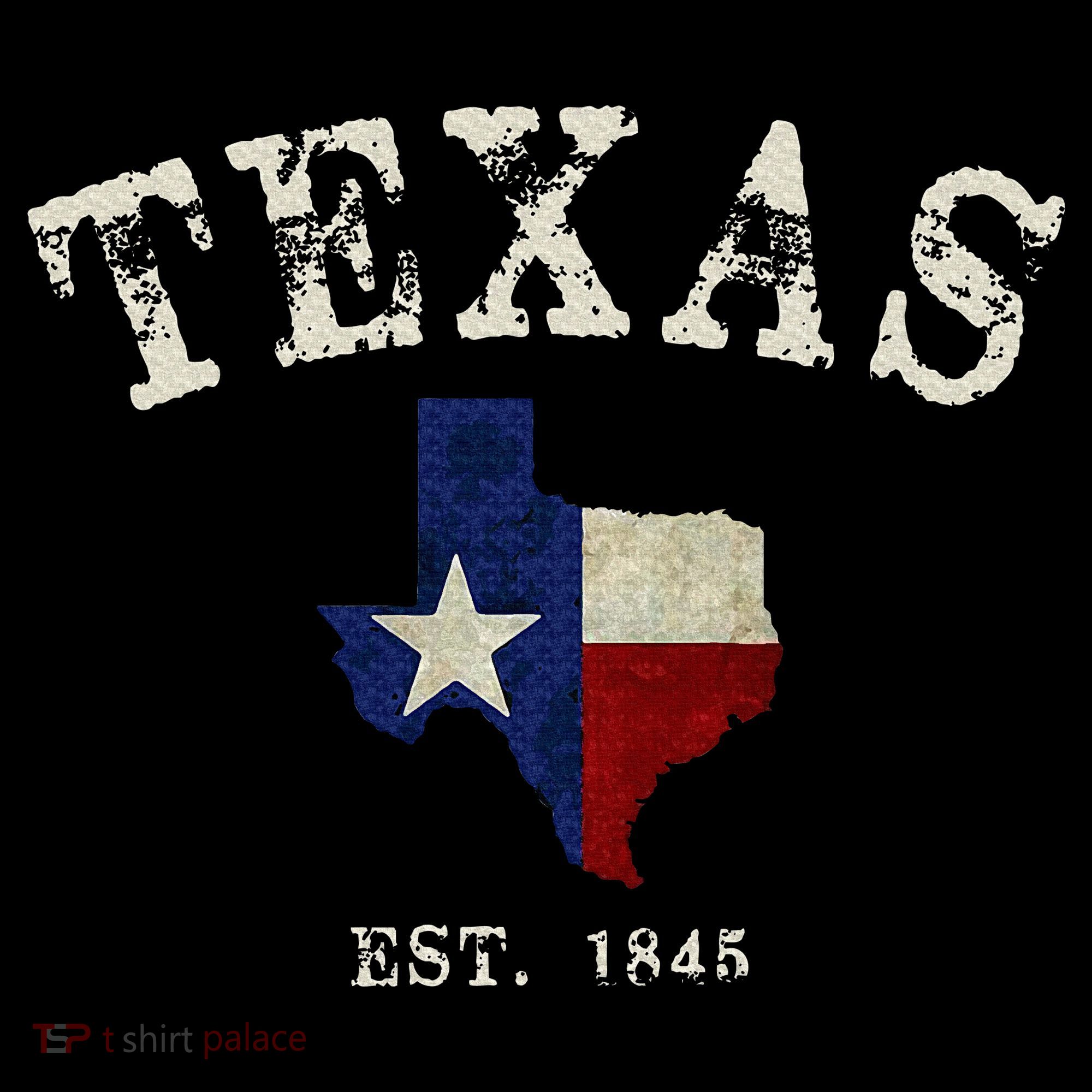 Distressed Texas State Flag Map Kids Sweatshirt