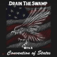 Drain The Swamp With A Convention Of States Ornament thumb 1
