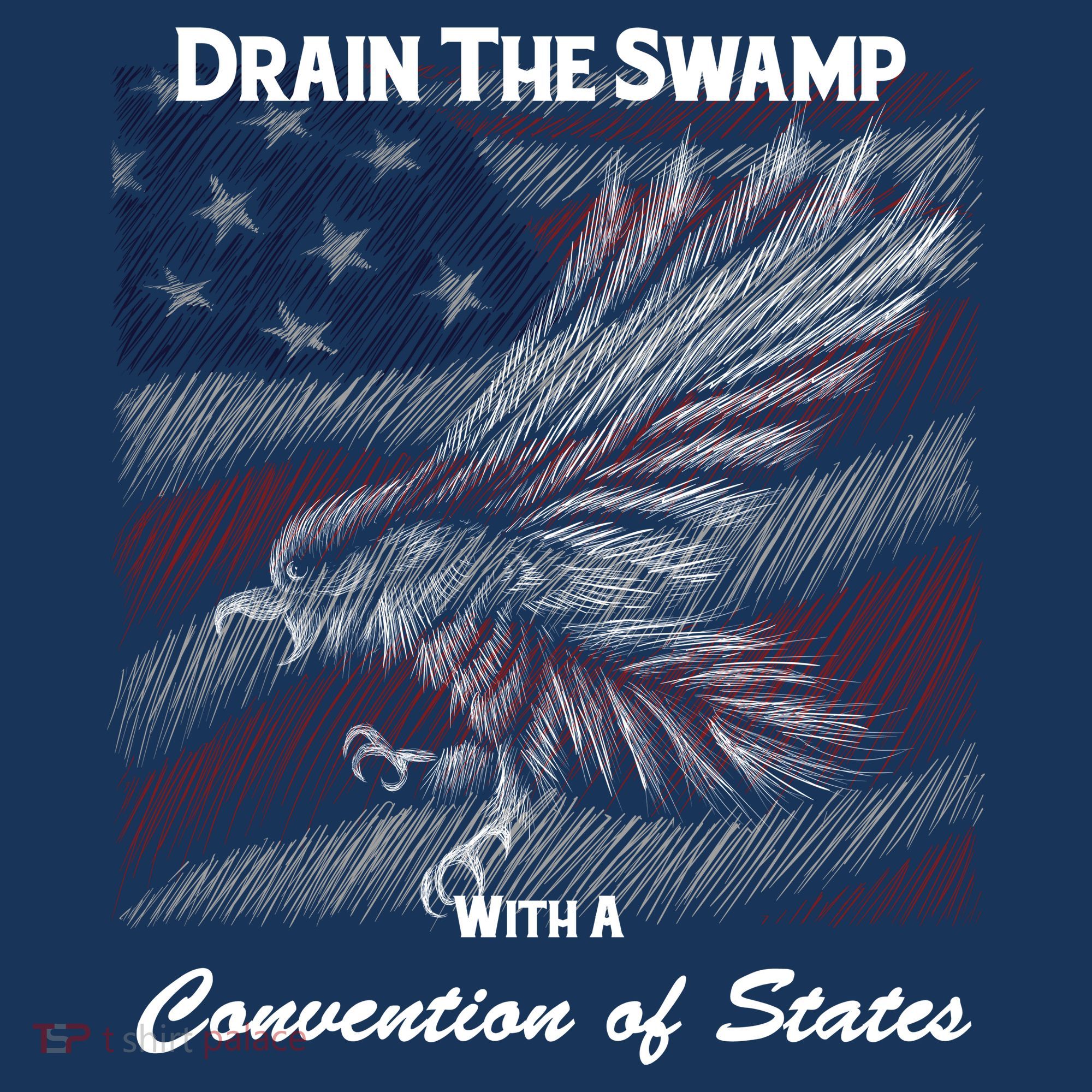 Drain The Swamp With A Convention Of States Women's Hoodie