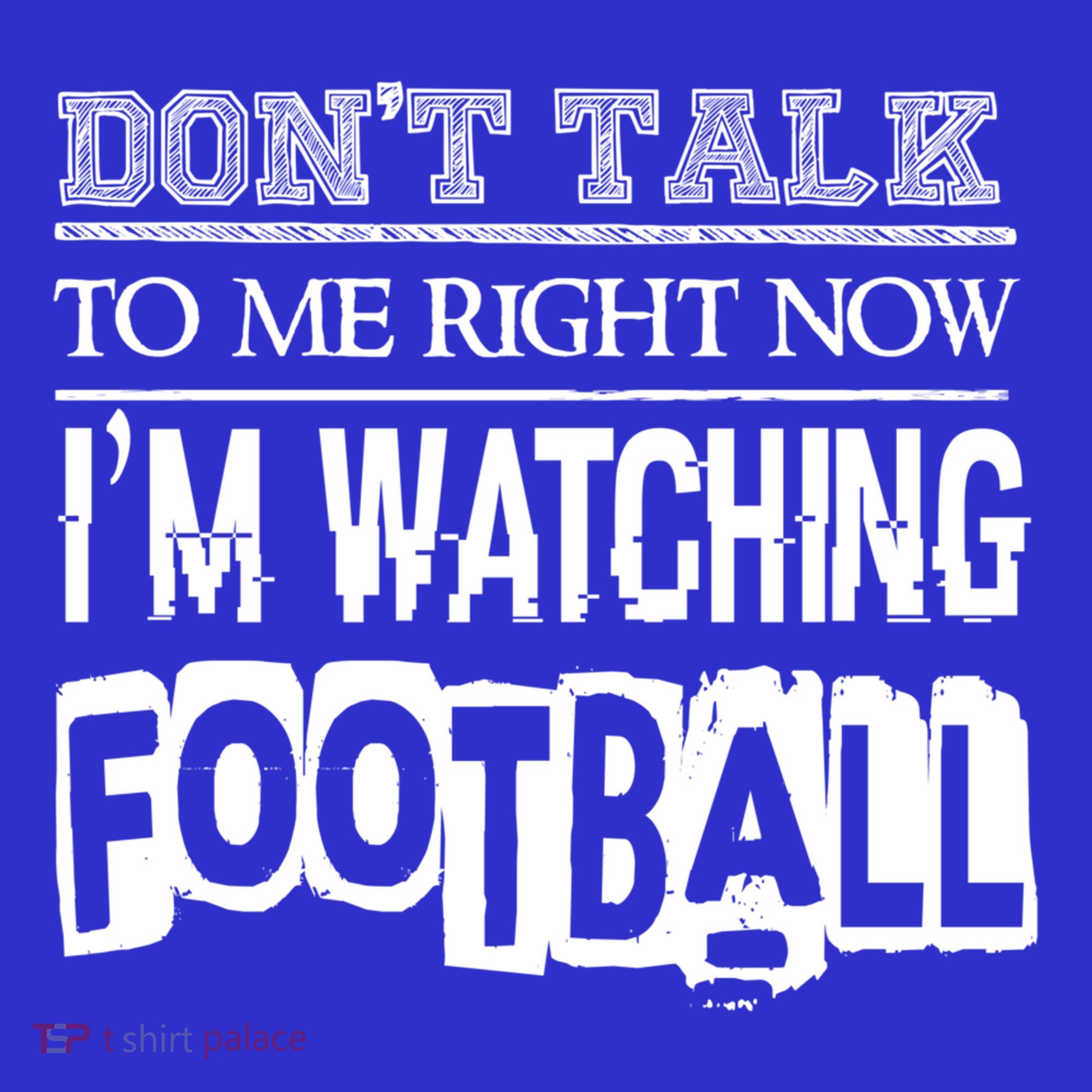 Don't Talk To Me Right Now I'm Watching Football Gift Funny Gift Hoodie