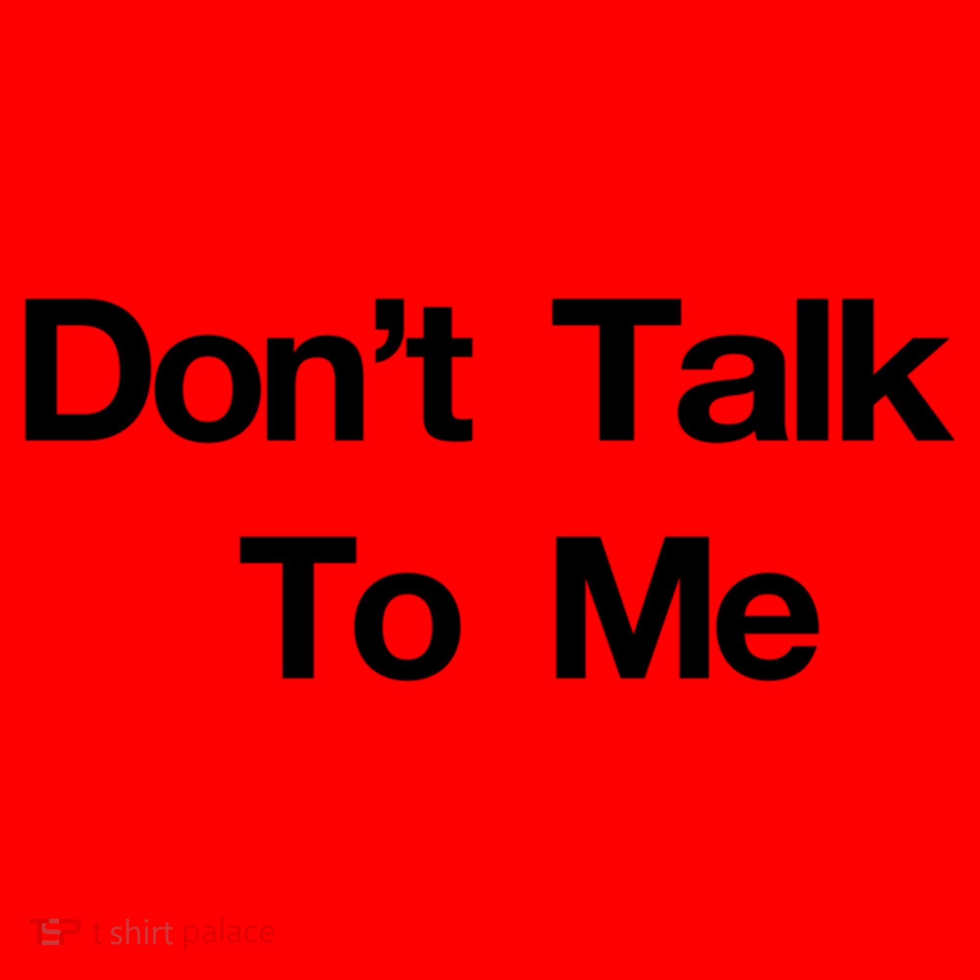 Don't Talk To Me Gift Santa Hat