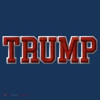 Donald Trump USA Stars And Stripes United States Of America Puff Embroidered Embroidered Beanie thumb 2