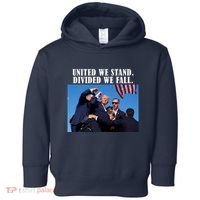 Donald Trump United We Stand Dived We Fall Toddler Hoodie thumb 0