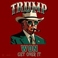 Donald Trump Won Election Inauguration Maga Hoodie thumb 7