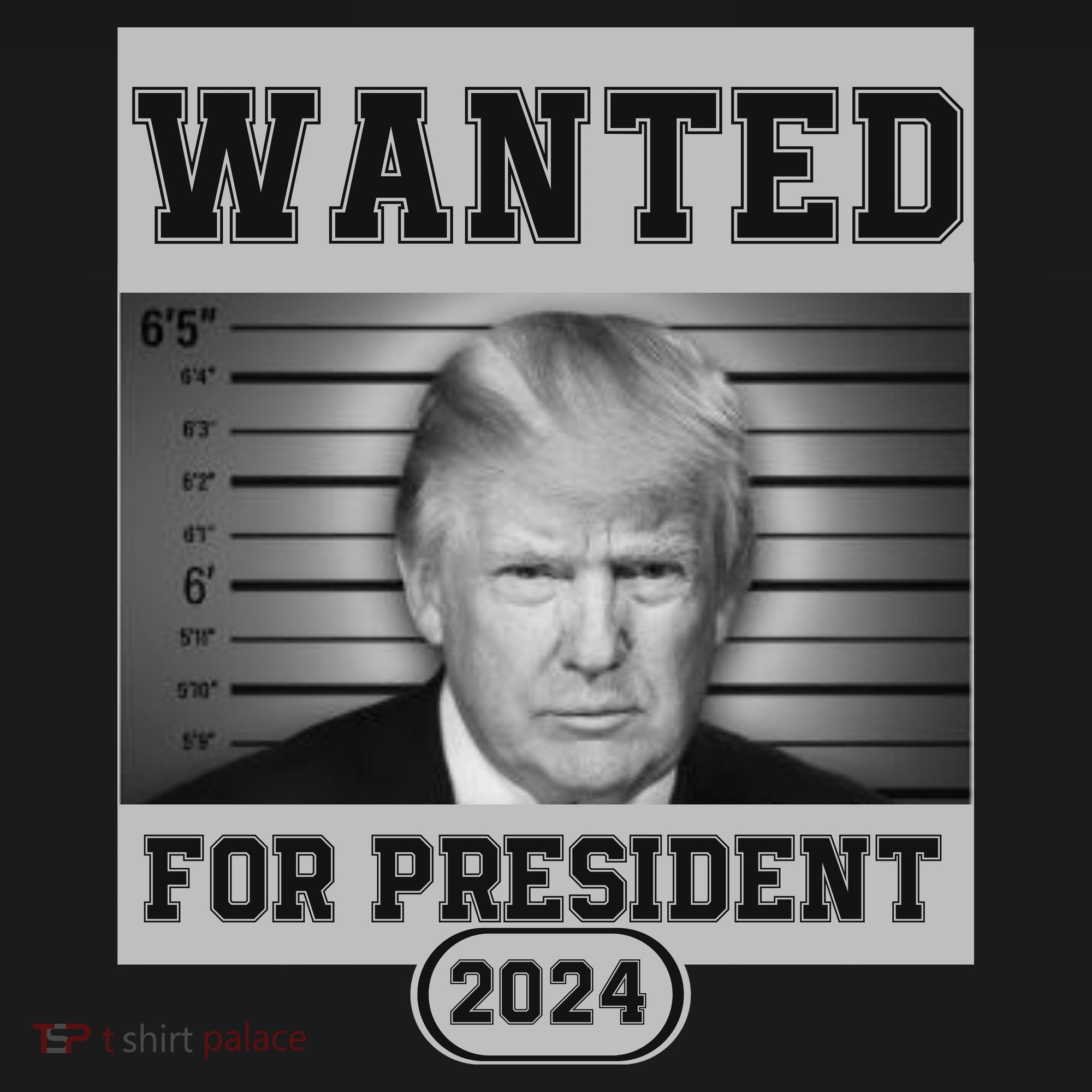 Donald Trump Wanted For President 2024 President Trump Mugshot T-Shirt