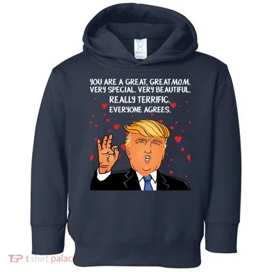Toddler Hoodie